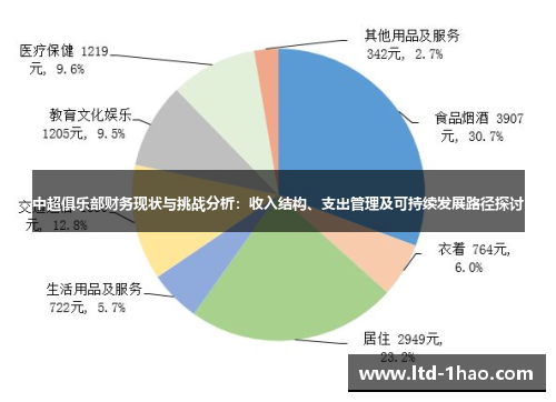 中超俱乐部财务现状与挑战分析：收入结构、支出管理及可持续发展路径探讨