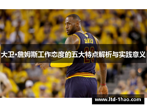 大卫·詹姆斯工作态度的五大特点解析与实践意义